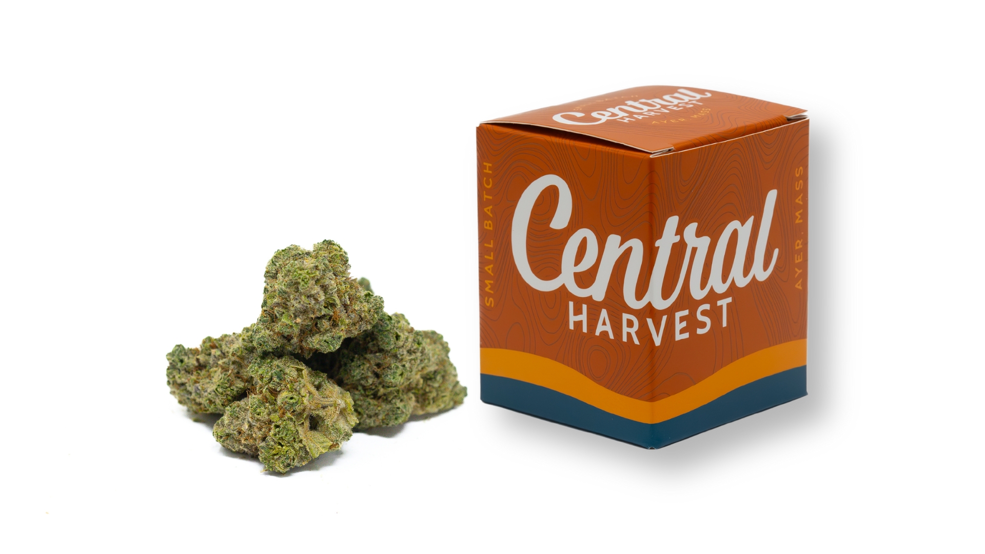 ILL Eagle is a hybrid cannabis strain grown by Central Harvest