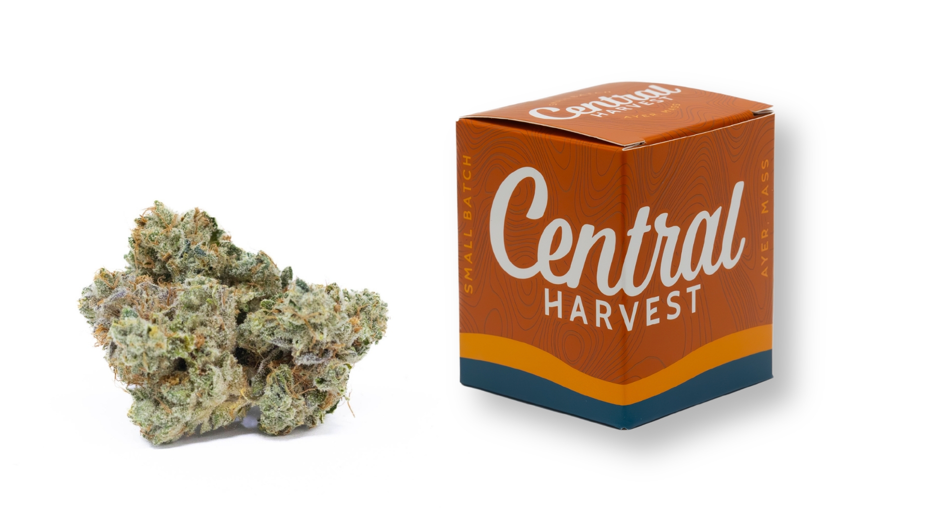 Ill Eagle hybrid cannabis strain grown by Central Harvest
