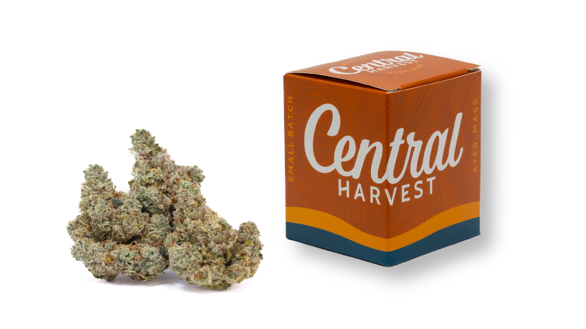 Ill Eagle is a Hybrid Cannabis Strain grown and packaged at Central Harvest
