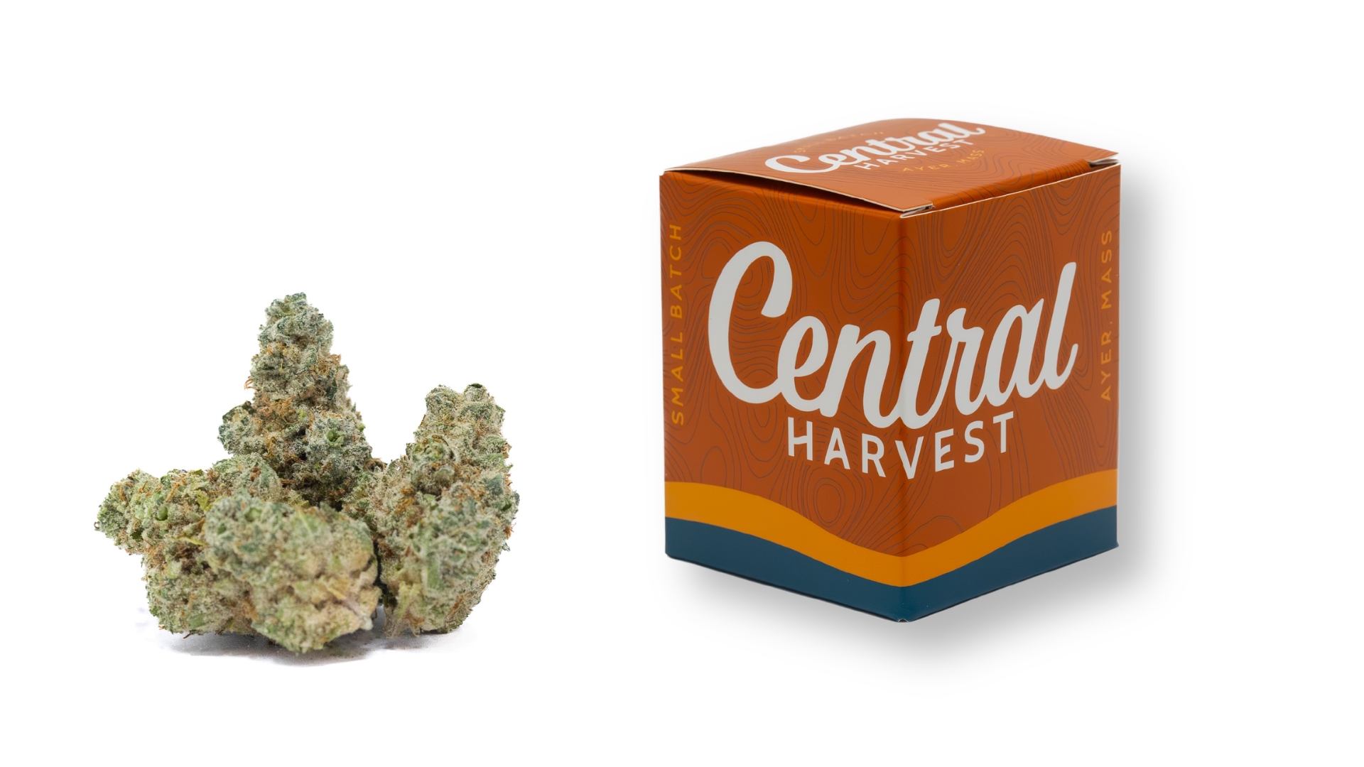Ill Eagle is a Hybrid Cannabis Strain grown and packaged at Central Harvest