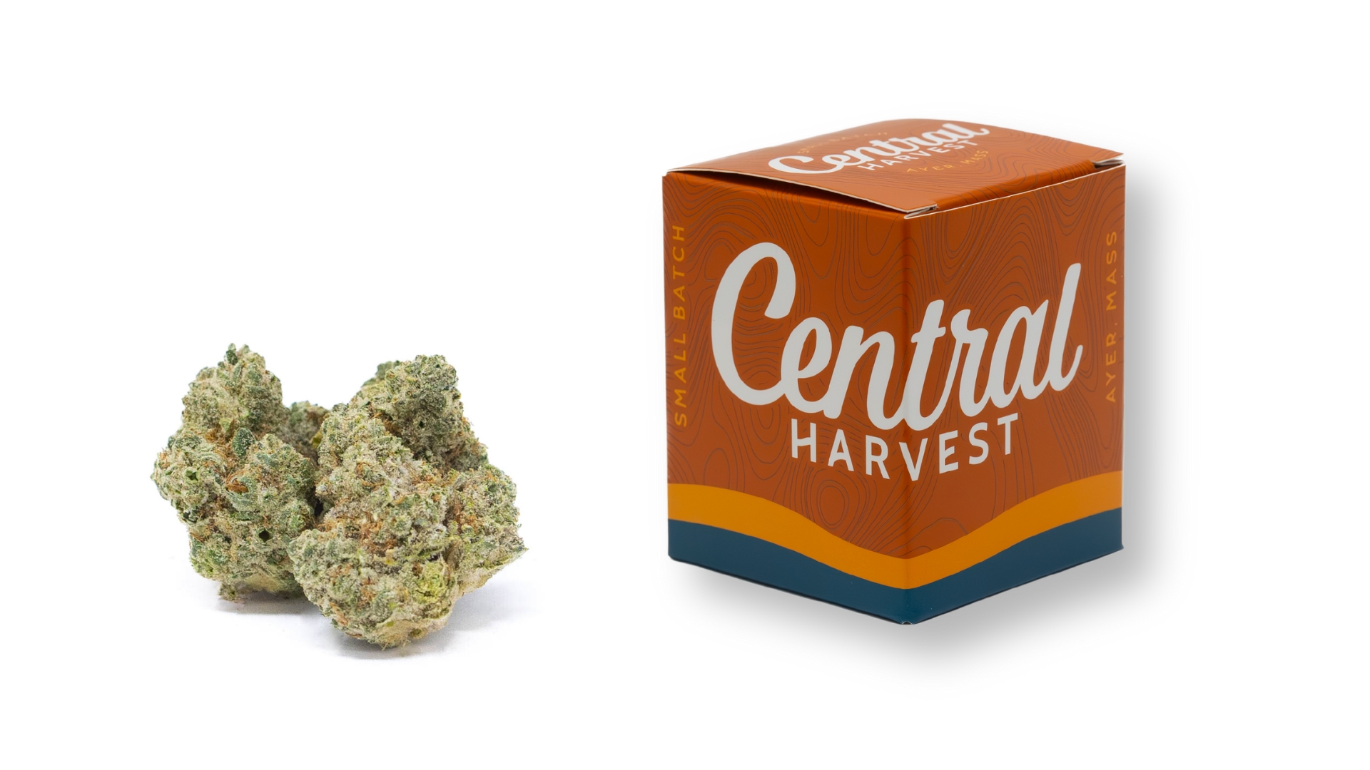Ill Eagle is a Hybrid Cannabis Strain grown and packaged at Central Harvest