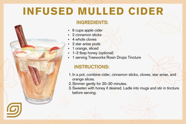 Infused Mulled Cider Mocktail