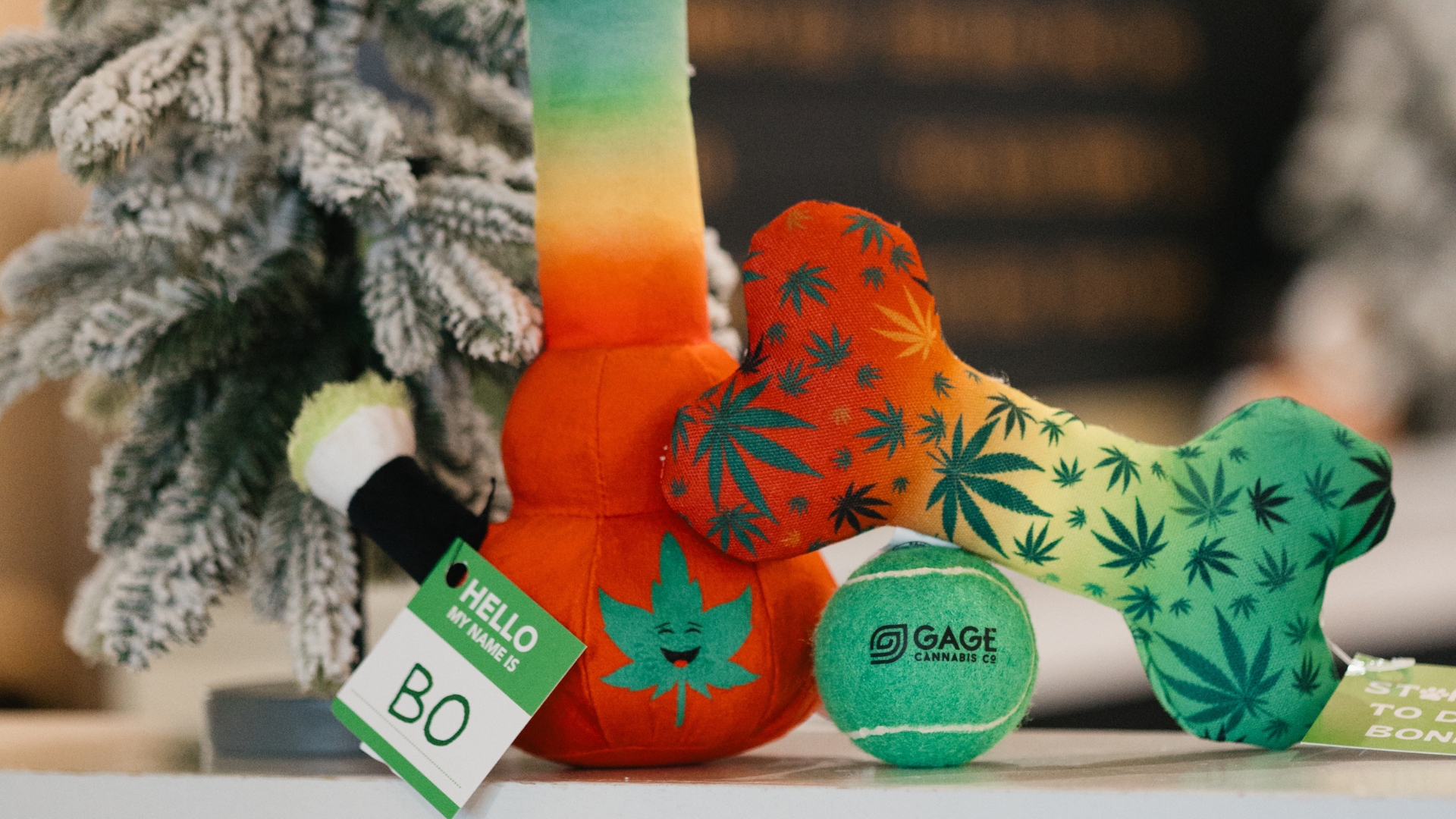 2025 gift guide dog toys