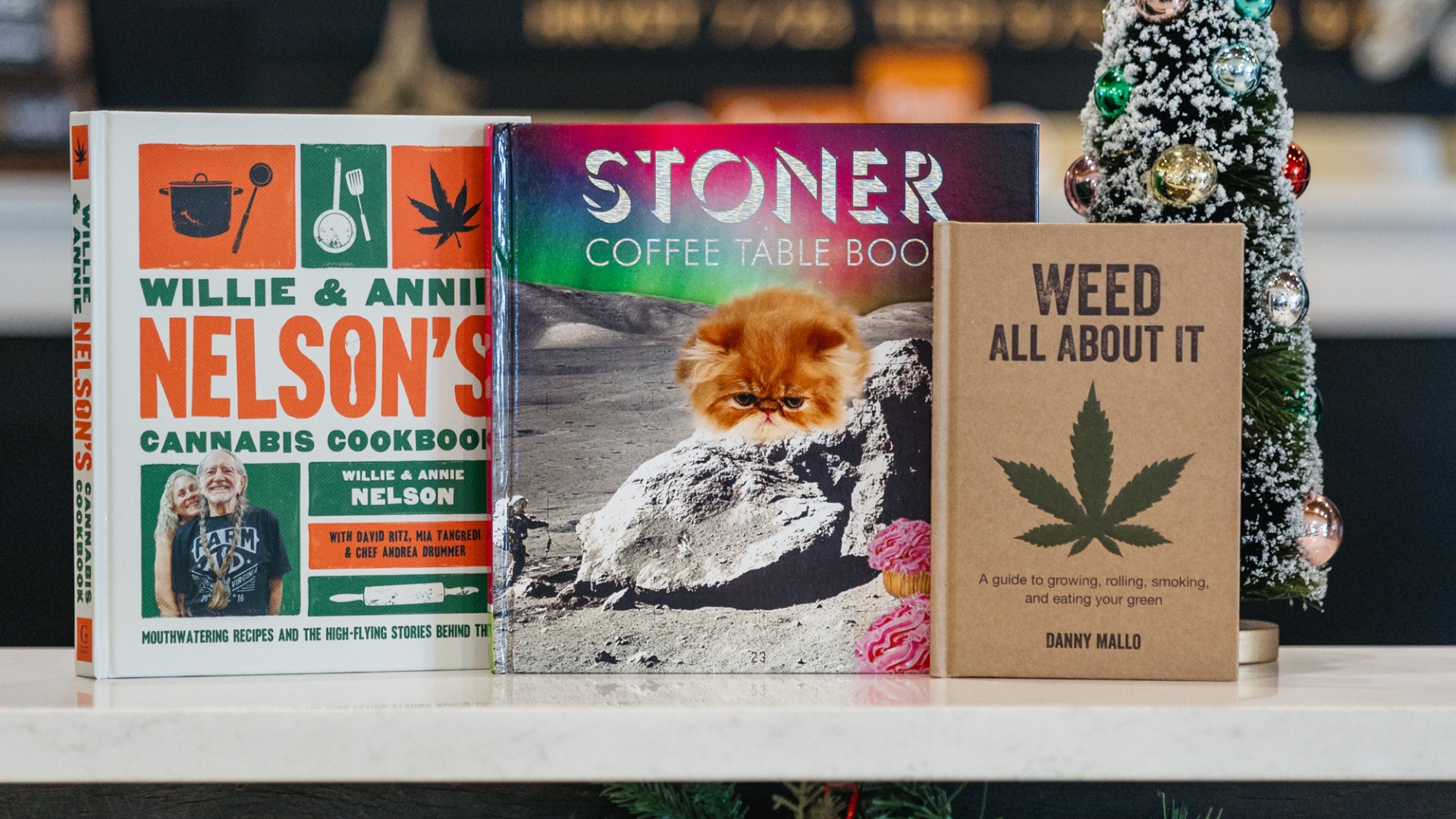 2025 holiday gift guide books