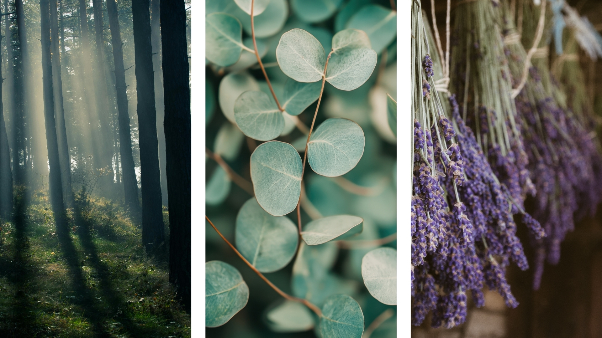 Cannabinoids for sleep