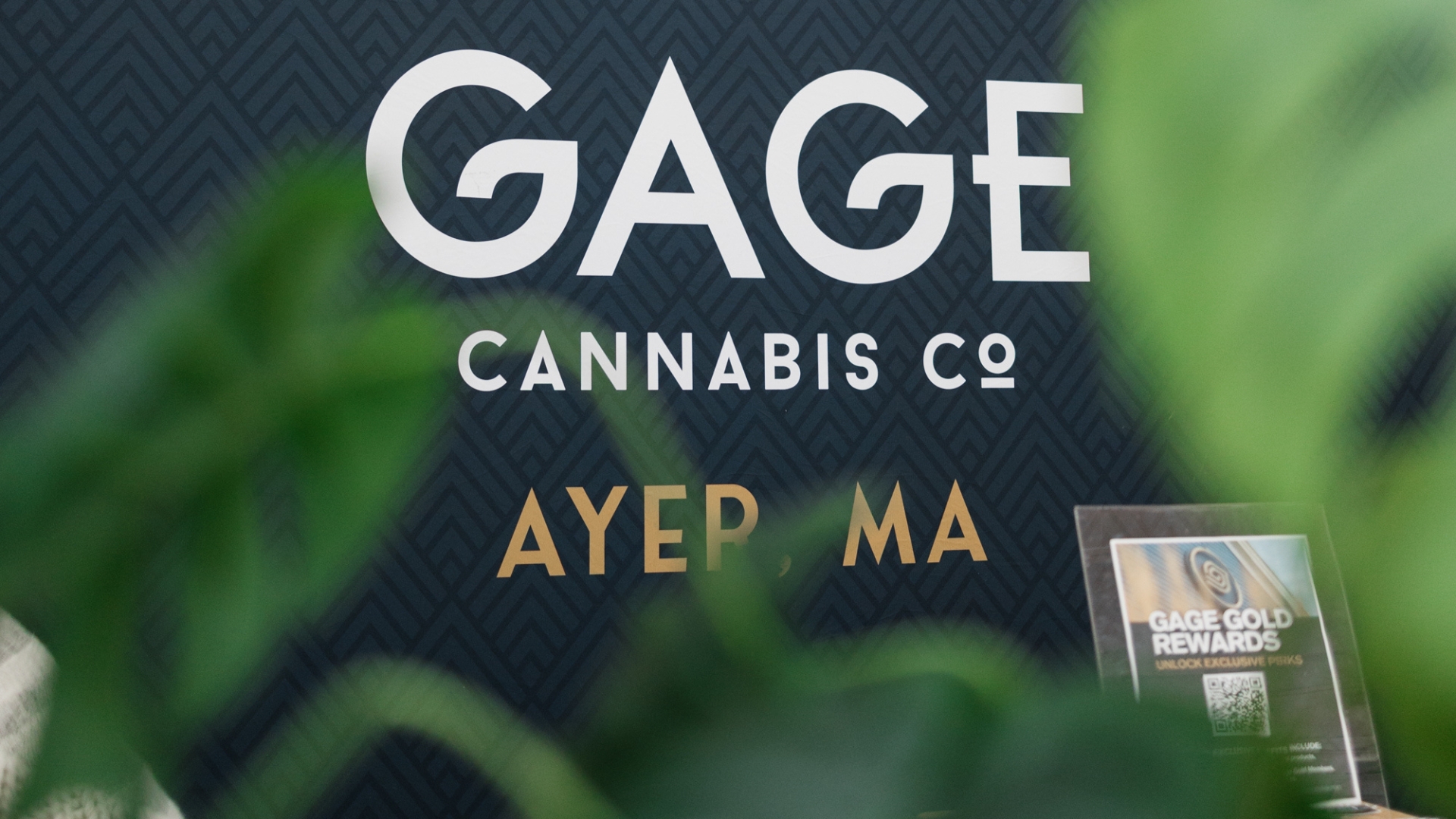 Concentrates available Gage Cannabis Co.