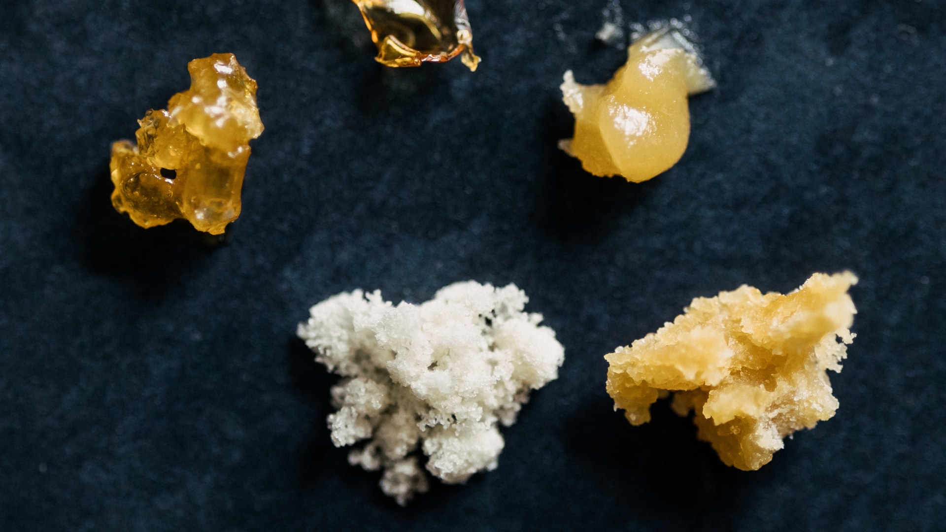 Cannabis concentrates extraction and texture