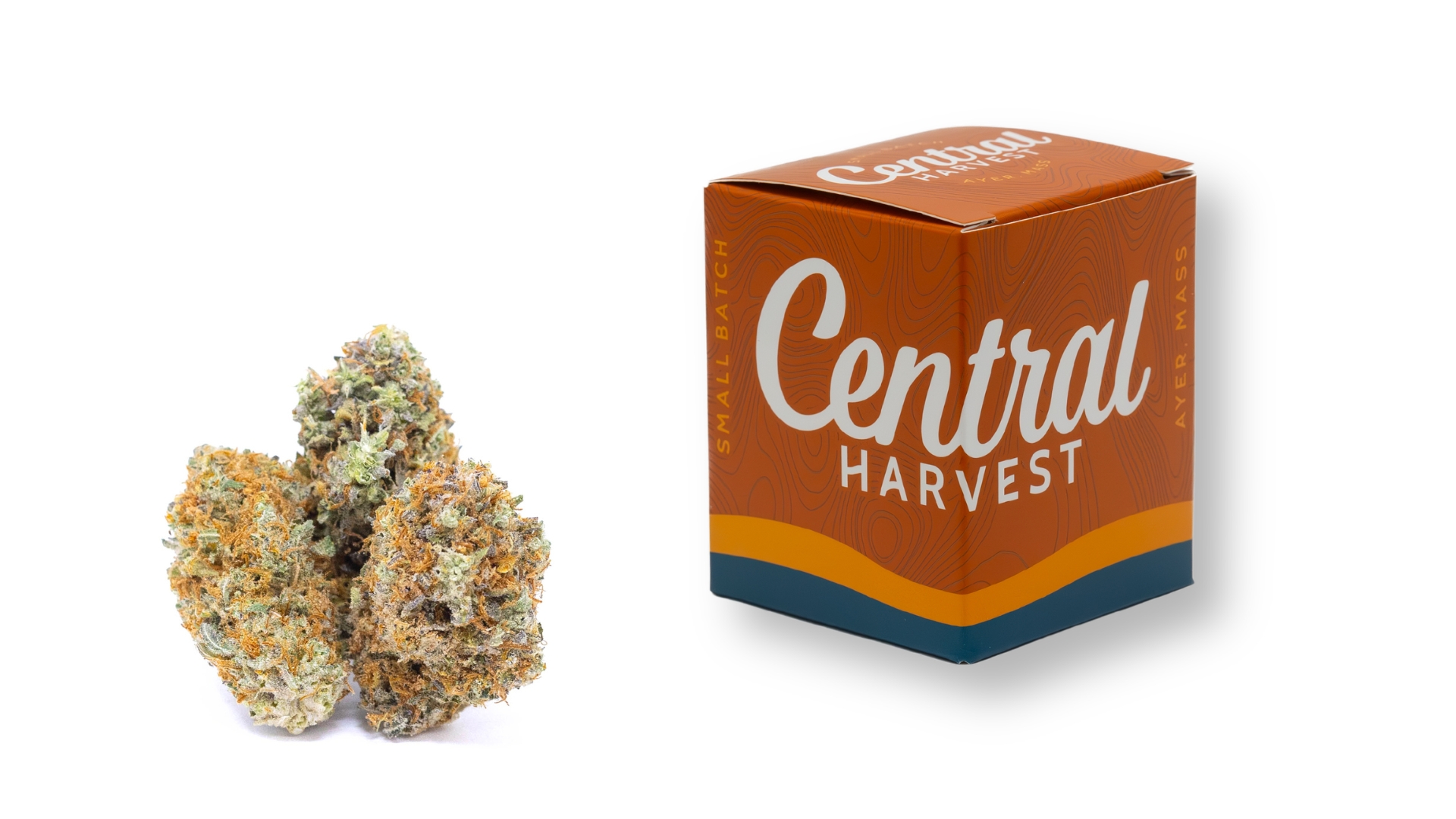 Dirty Hawaiian is a Sativa Cannabis Strain grown and packaged at Central Harvest